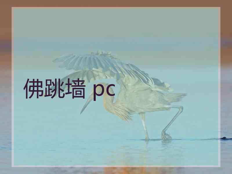 佛跳墙 pc