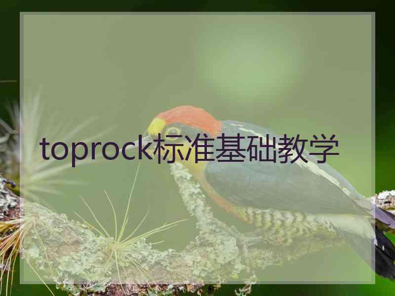 toprock标准基础教学