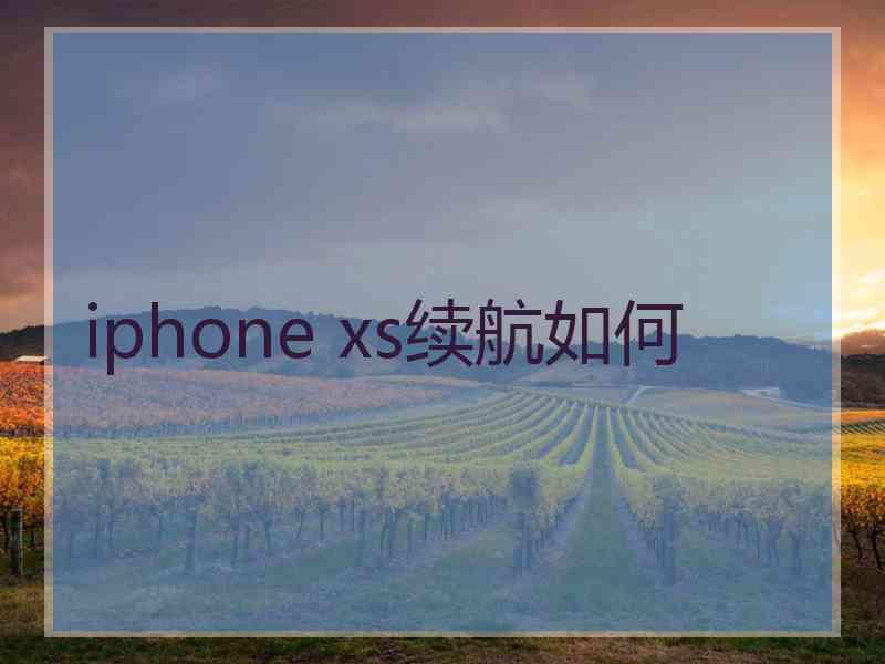 iphone xs续航如何