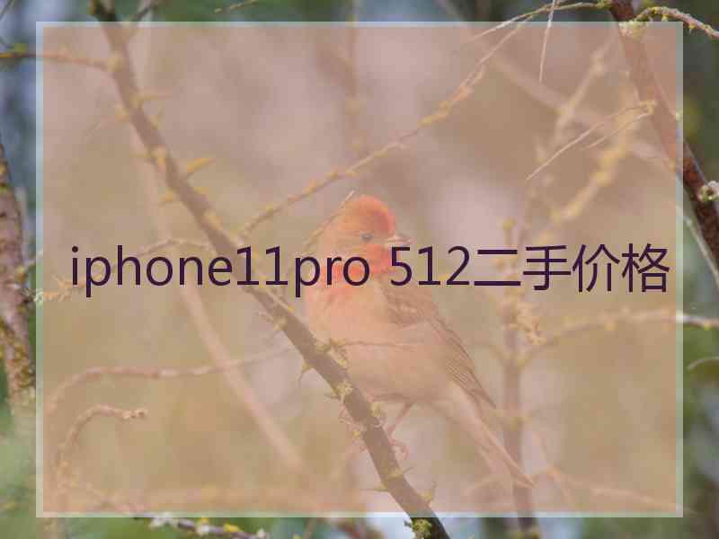 iphone11pro 512二手价格