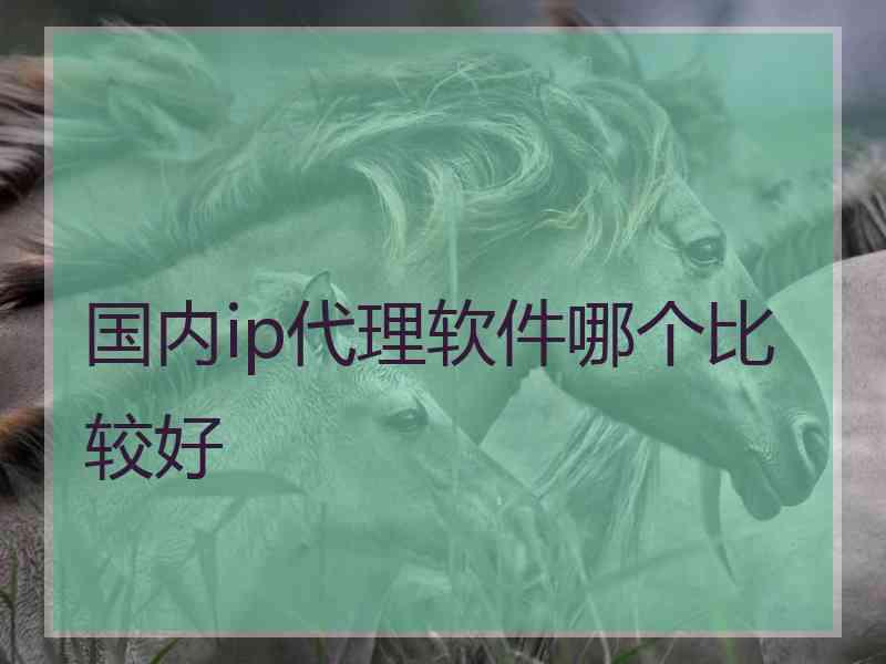 国内ip代理软件哪个比较好