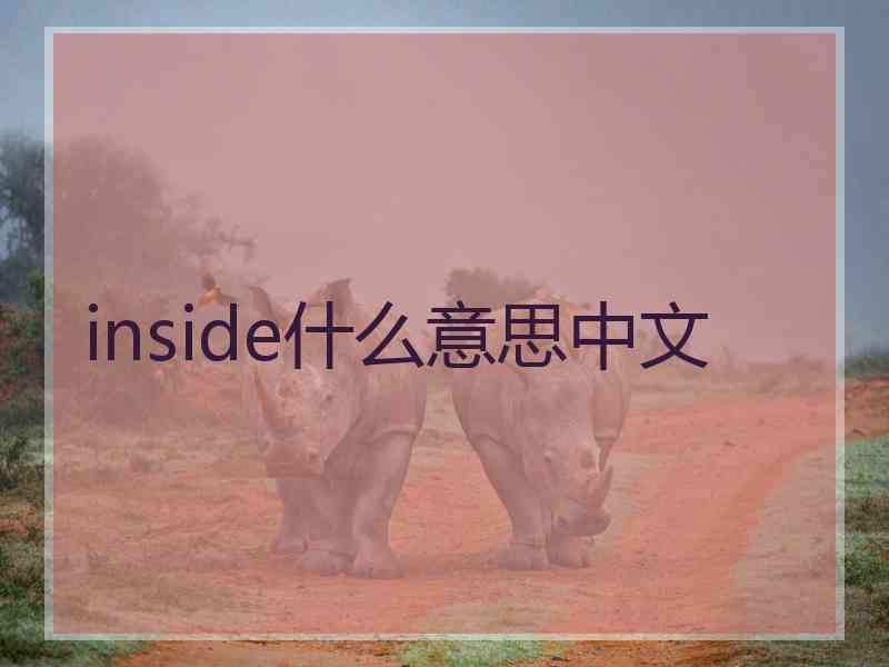 inside什么意思中文