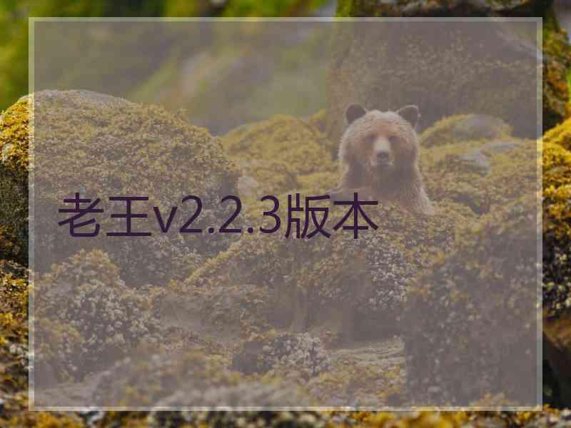 老王v2.2.3版本