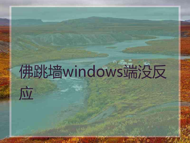 佛跳墙windows端没反应