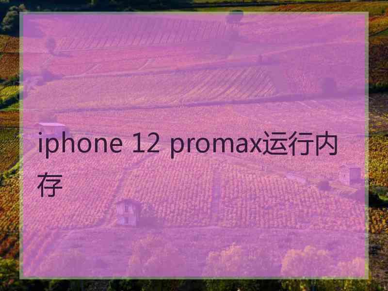 iphone 12 promax运行内存