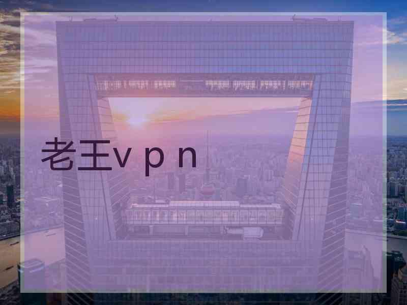 老王v p n