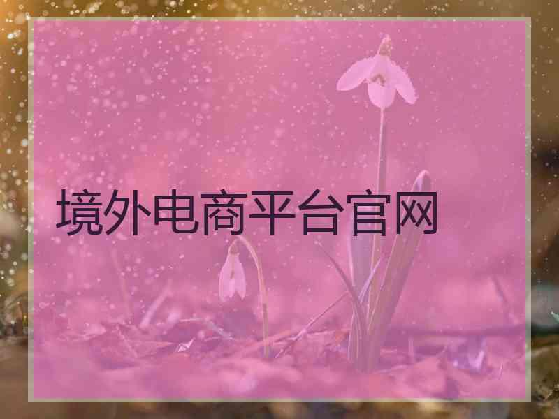 境外电商平台官网