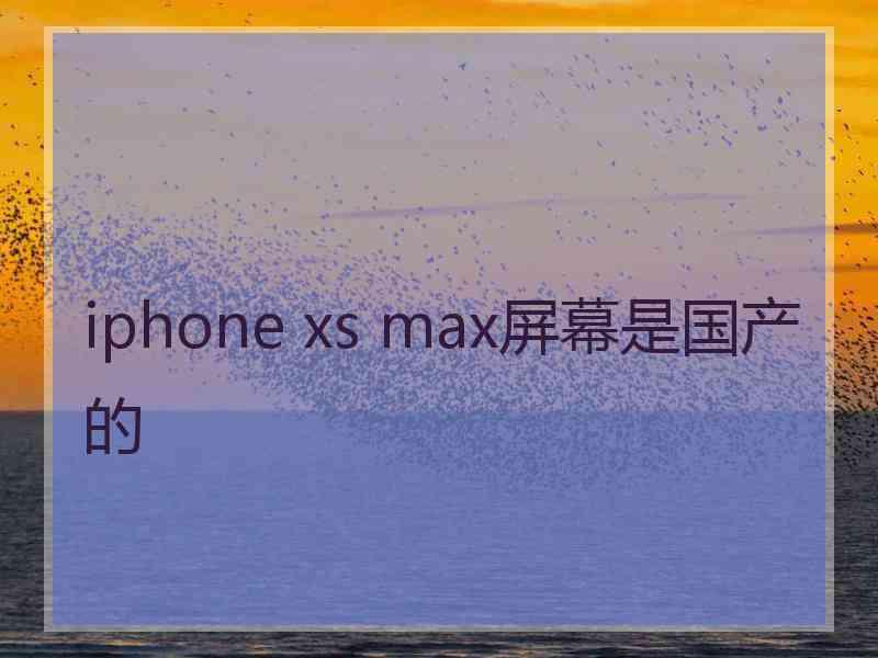 iphone xs max屏幕是国产的