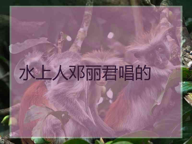 水上人邓丽君唱的