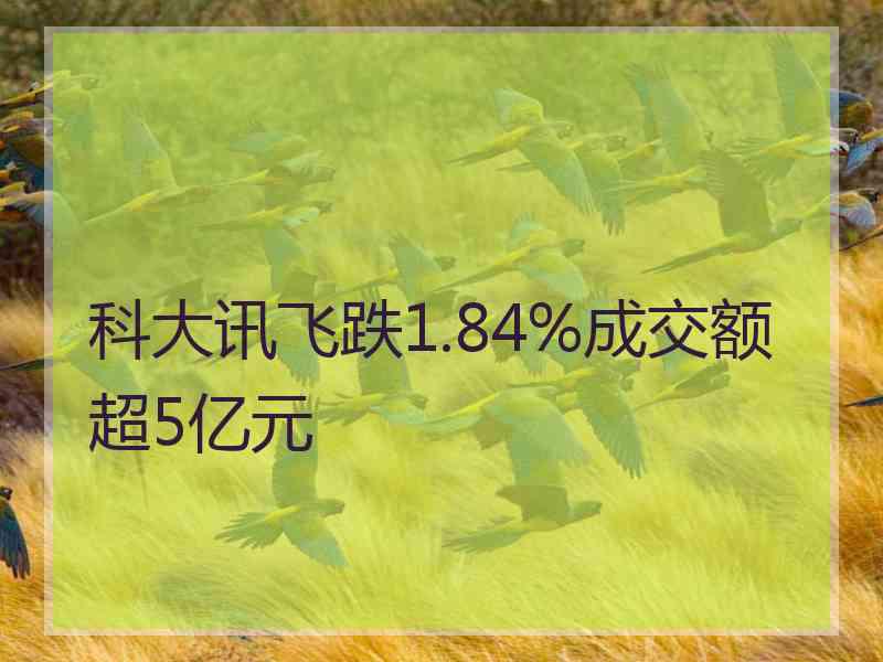 科大讯飞跌1.84%成交额超5亿元