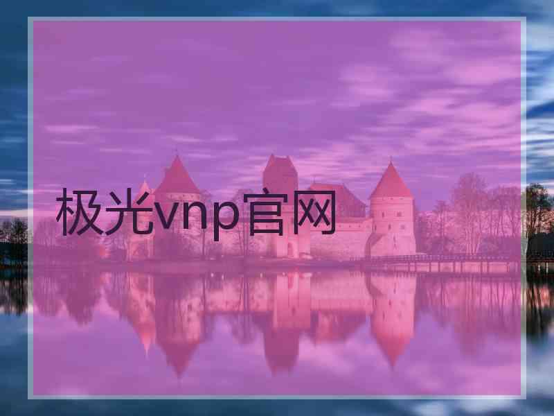 极光vnp官网