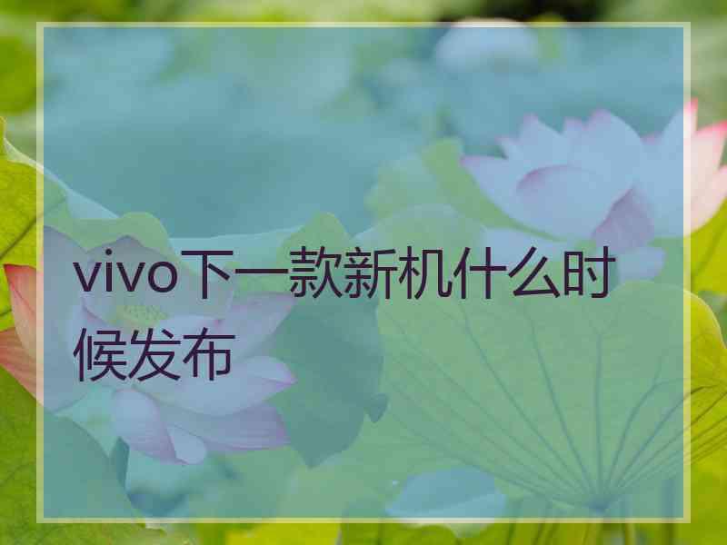 vivo下一款新机什么时候发布