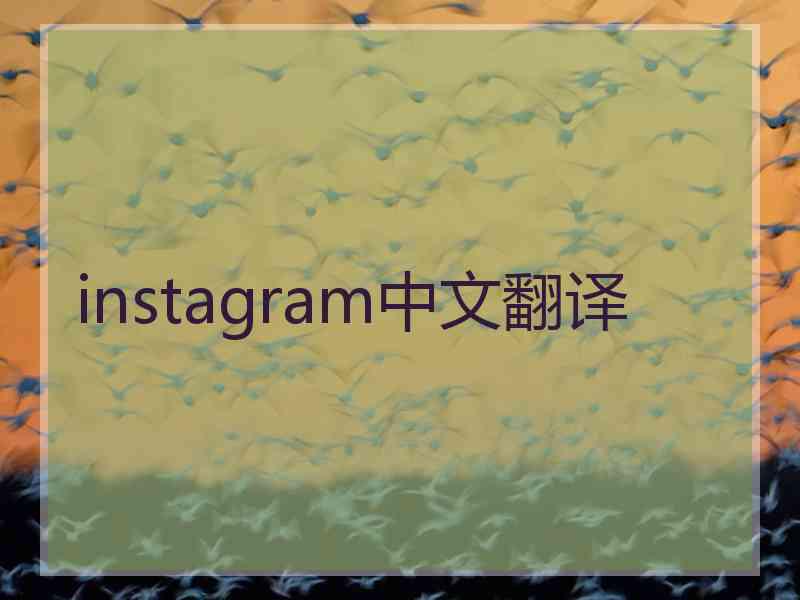 instagram中文翻译