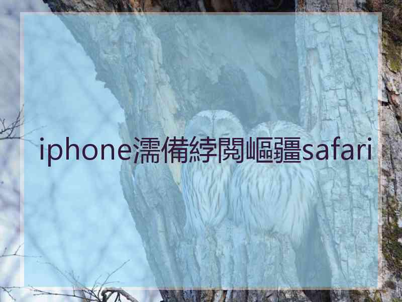 iphone濡備綍閲嶇疆safari