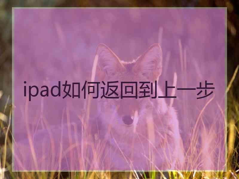 ipad如何返回到上一步