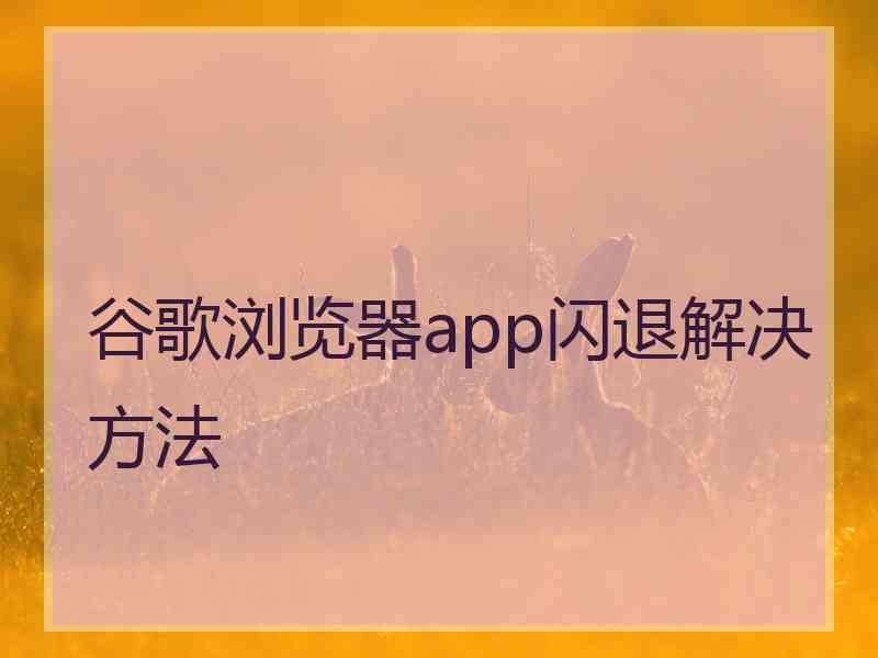 谷歌浏览器app闪退解决方法