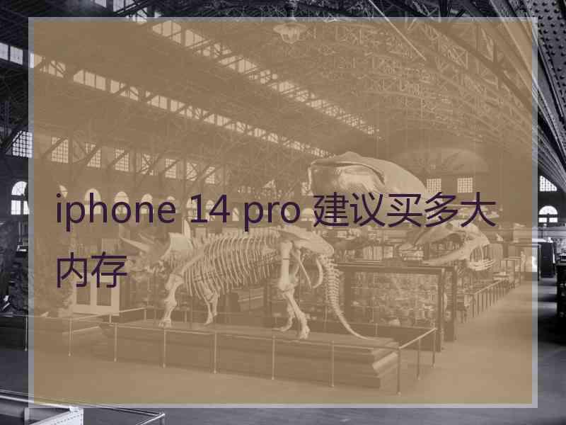 iphone 14 pro 建议买多大内存