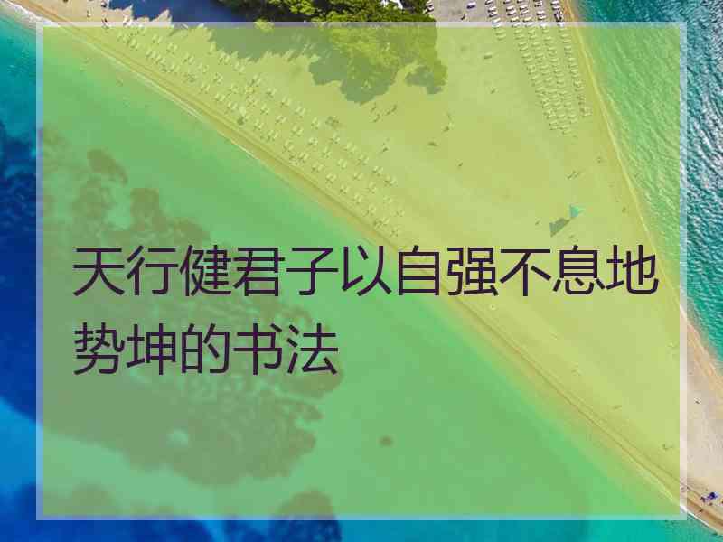 天行健君子以自强不息地势坤的书法