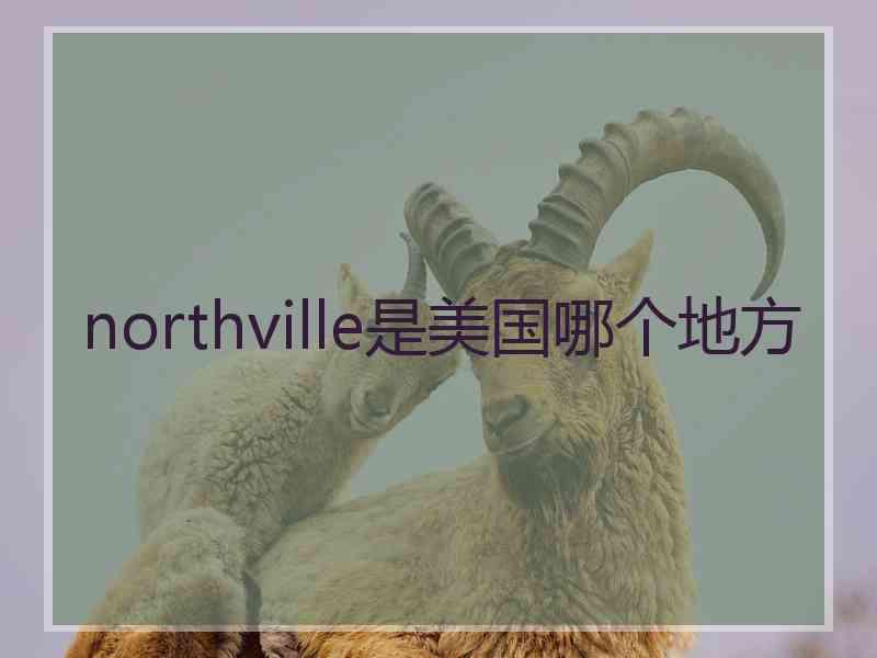 northville是美国哪个地方