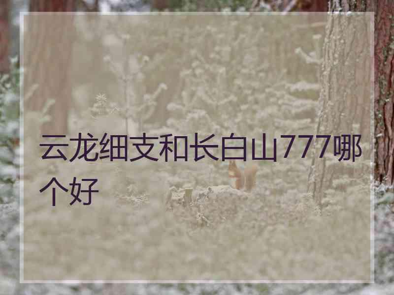 云龙细支和长白山777哪个好