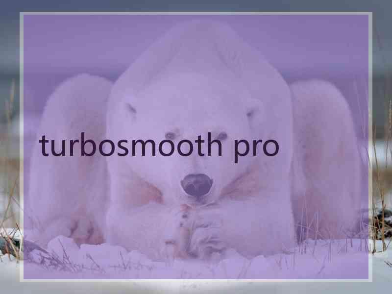 turbosmooth pro