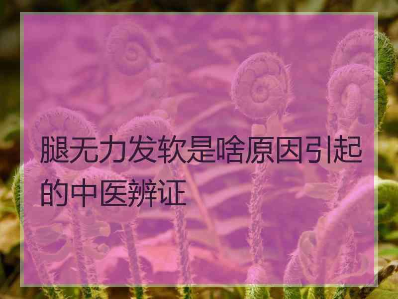 腿无力发软是啥原因引起的中医辨证