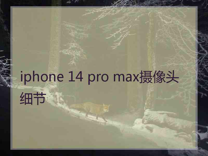 iphone 14 pro max摄像头细节