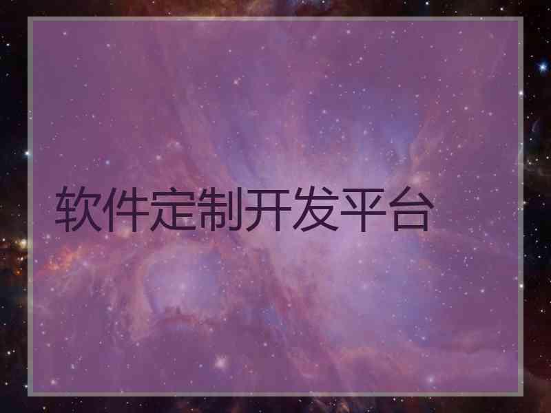 软件定制开发平台