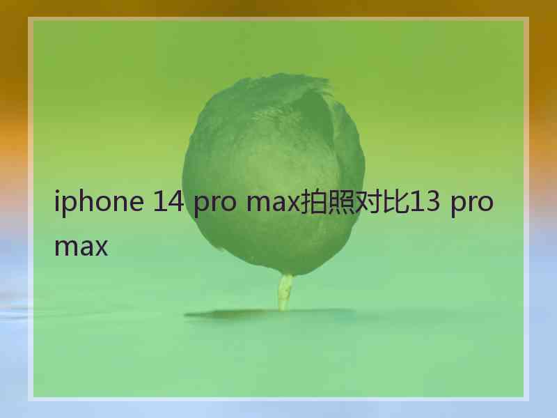 iphone 14 pro max拍照对比13 pro max