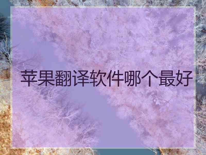 苹果翻译软件哪个最好