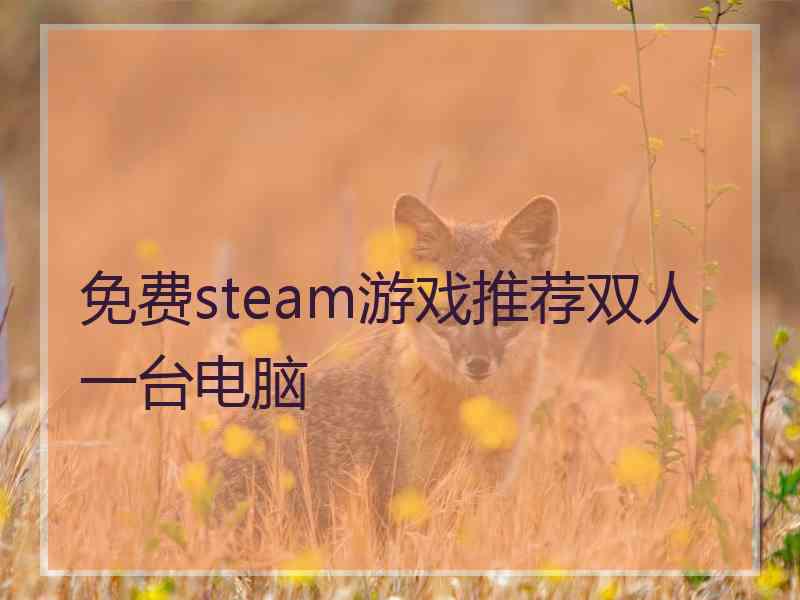 免费steam游戏推荐双人一台电脑