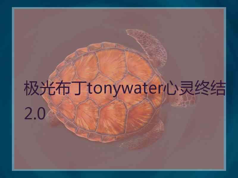 极光布丁tonywater心灵终结2.0