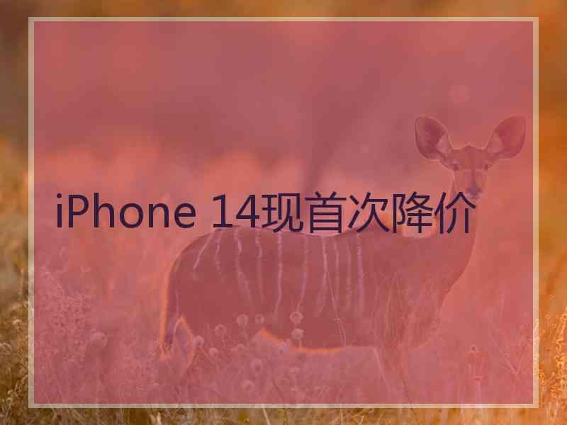 iPhone 14现首次降价