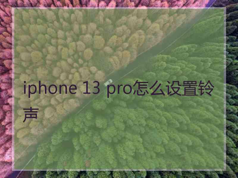 iphone 13 pro怎么设置铃声