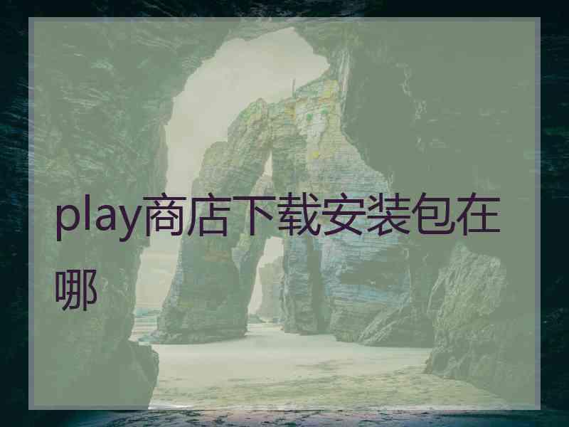 play商店下载安装包在哪