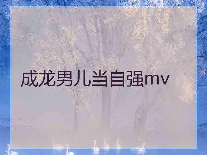 成龙男儿当自强mv