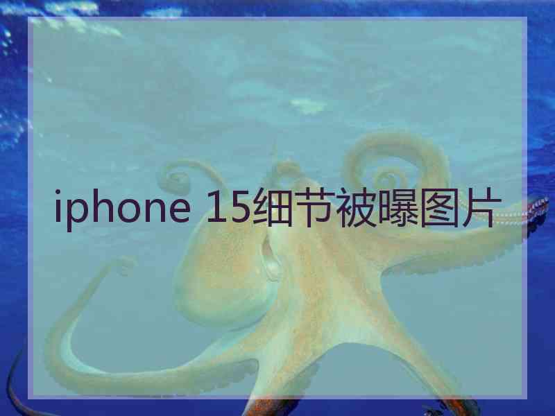 iphone 15细节被曝图片