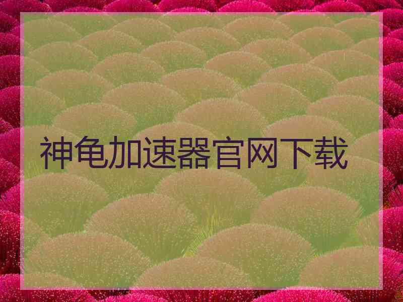 神龟加速器官网下载