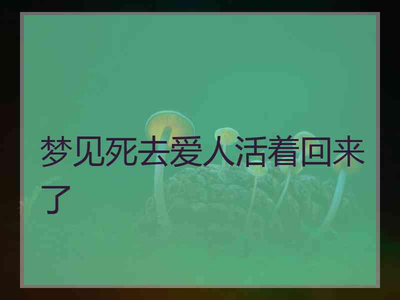 梦见死去爱人活着回来了