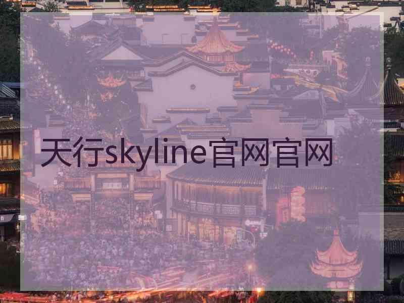 天行skyline官网官网