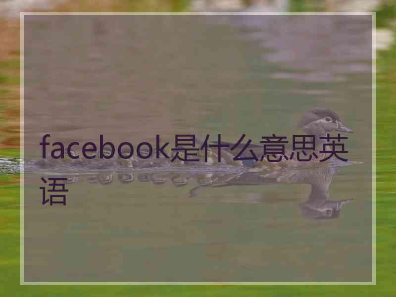 facebook是什么意思英语