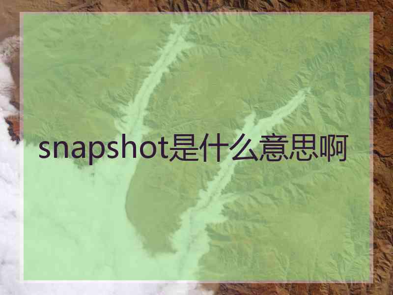 snapshot是什么意思啊