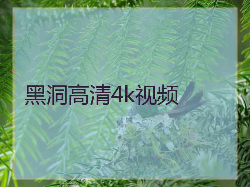 黑洞高清4k视频