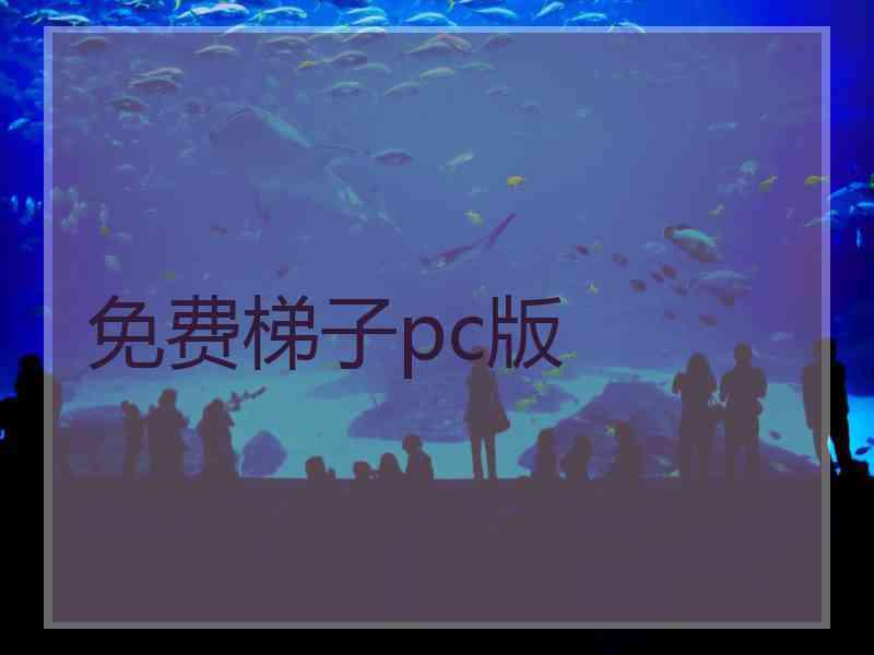 免费梯子pc版