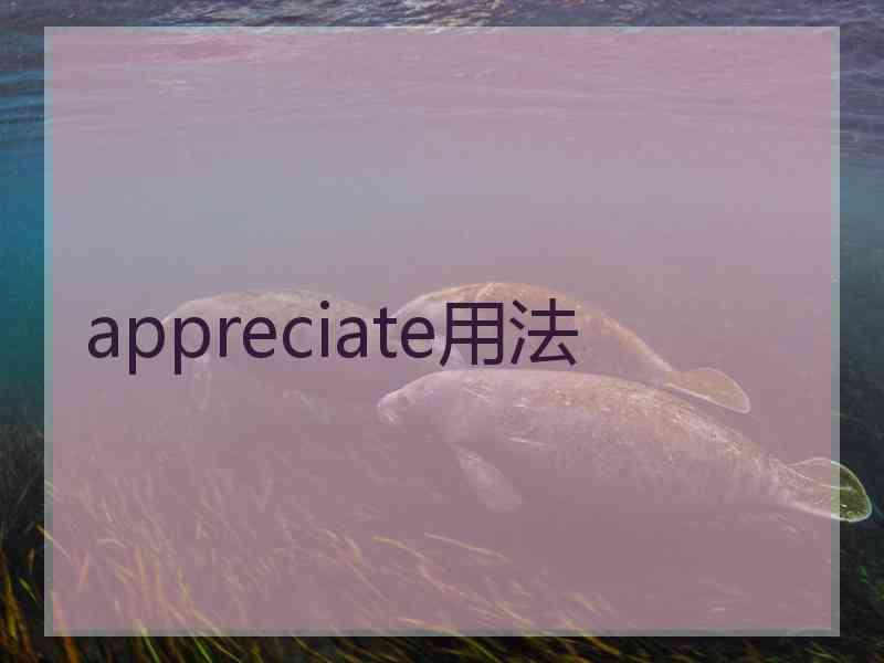 appreciate用法