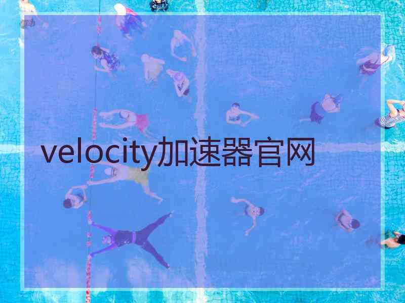 velocity加速器官网