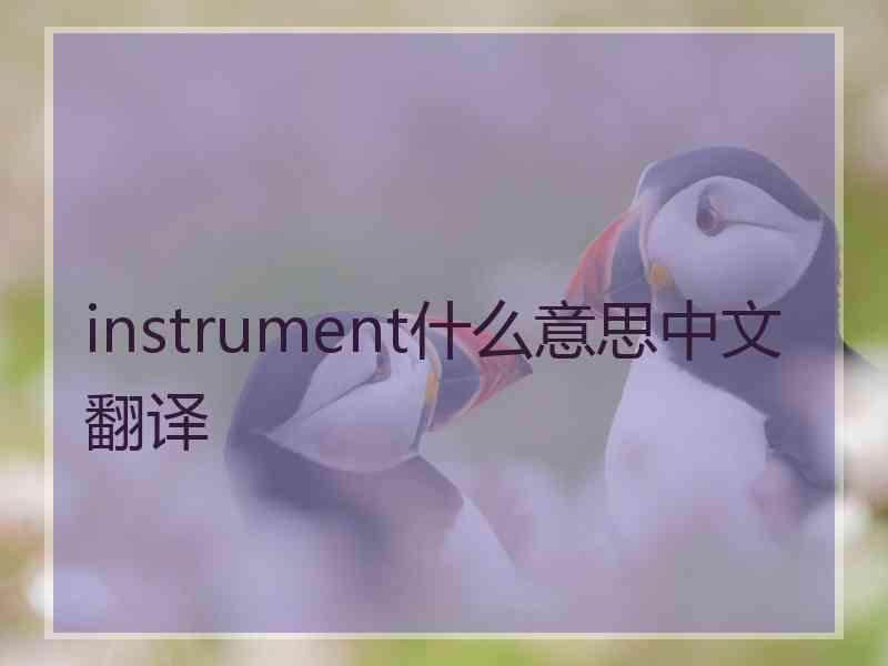 instrument什么意思中文翻译