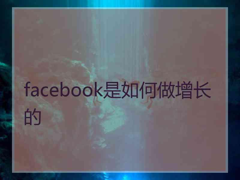 facebook是如何做增长的