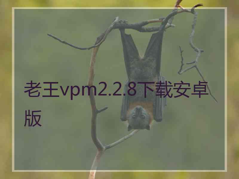 老王vpm2.2.8下载安卓版