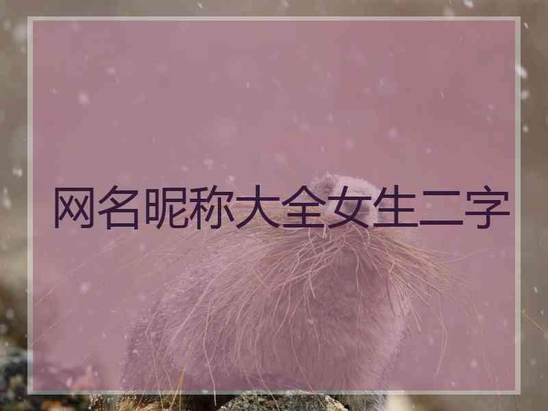 网名昵称大全女生二字